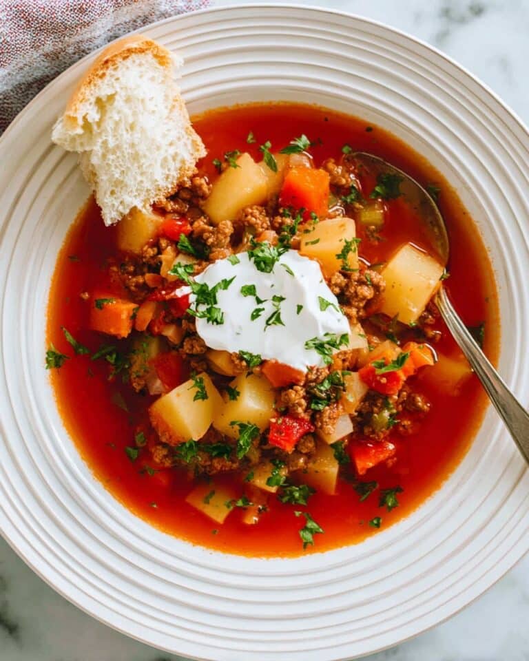 Hearty Hamburger Soup Recipe