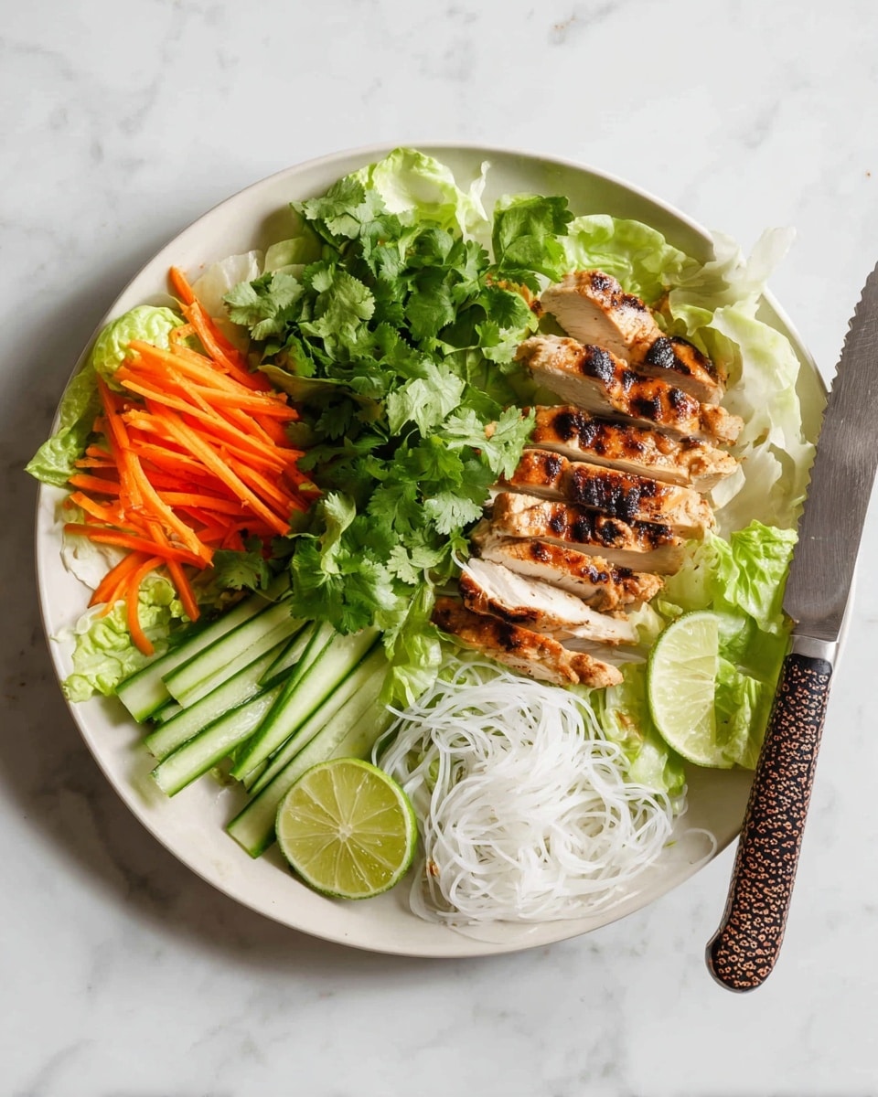 A white round plate holds a colorful layered dish arranged in sections. On the left, a bed of light green lettuce leaves forms the base, topped with bright orange thin carrot sticks. Next to the carrots are slices of grilled chicken with a golden-brown, slightly charred surface, arranged in a neat row. Fresh green cilantro leaves sit on top, adding vibrant color and texture. Above the chicken, thin, crisp green cucumber strips are laid out horizontally. To the right side of the plate, there is a small serving of white, delicate rice noodles piled loosely. Two lime wedges with light green skin and juicy flesh are placed near the carrots and chicken. A knife with a spotted brown and black handle rests on the plate's right side. The plate is set on a white marbled surface. Photo taken with an iphone --ar 4:5 --v 7